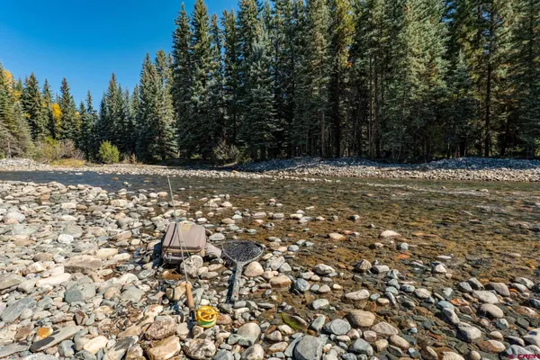 a view of a yard with trees