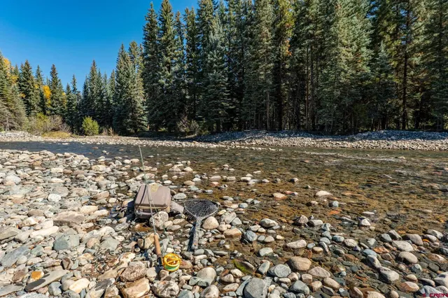 a view of a yard with trees