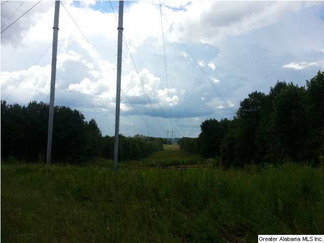 Oak Grove Road, Unit 72AC Lineville, AL 36266 - Photo 3 of 6