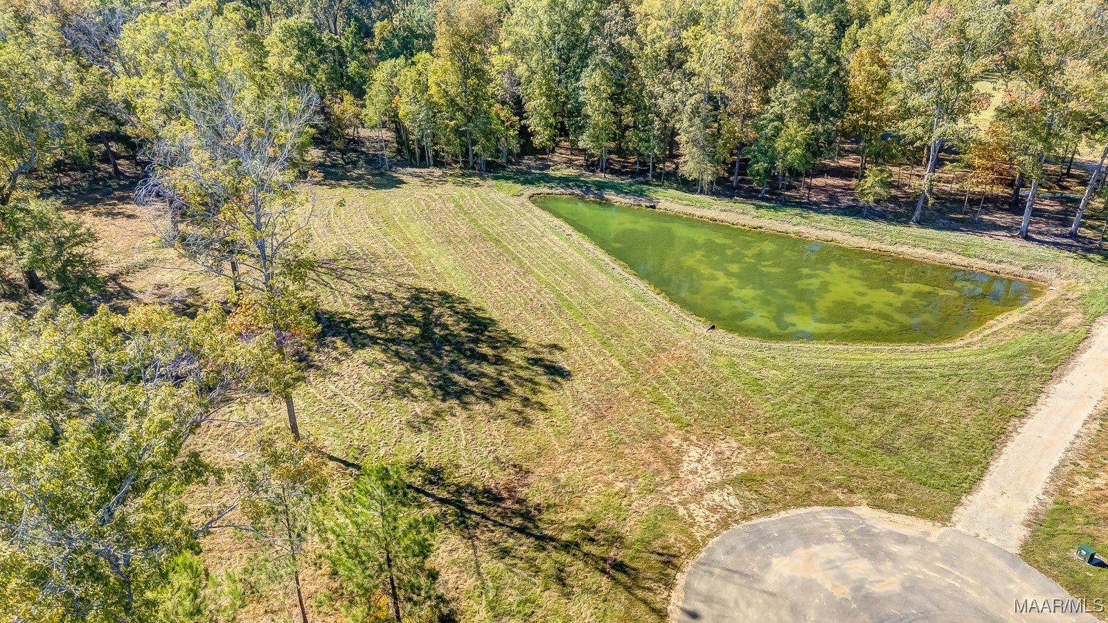 275 Crossing Lane Cecil, AL 36013 - Photo 10 of 17 Gallery Image 10