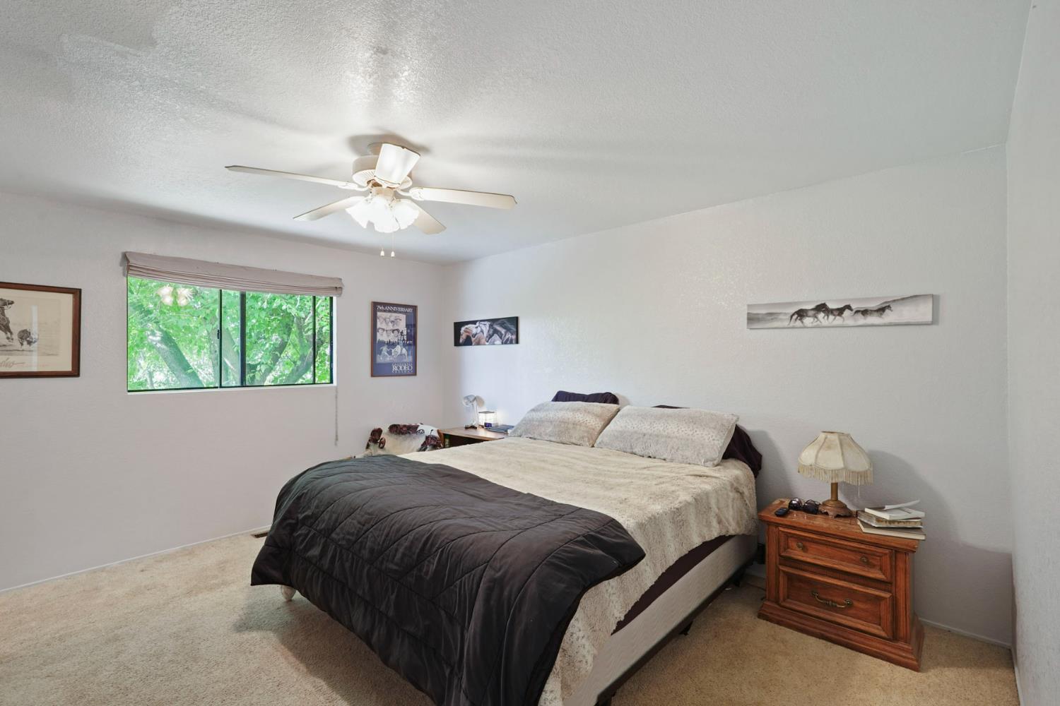 4317 Curran Road Ione, CA 95640 - Photo 34 of 56