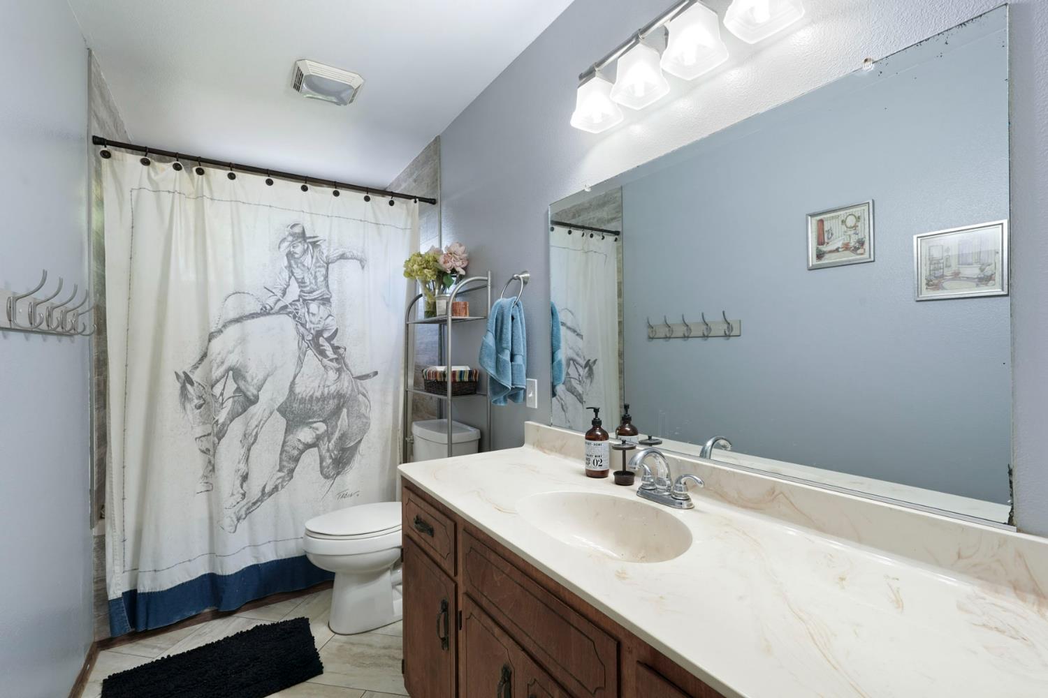 4317 Curran Road Ione, CA 95640 - Photo 39 of 56