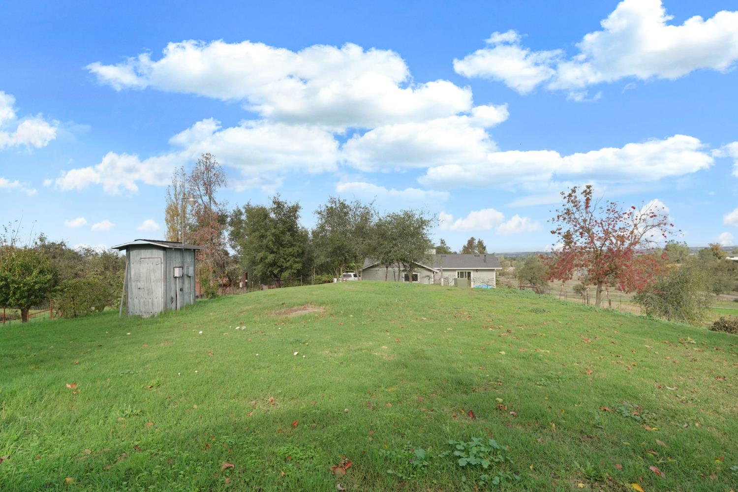 4317 Curran Road Ione, CA 95640 - Photo 49 of 56