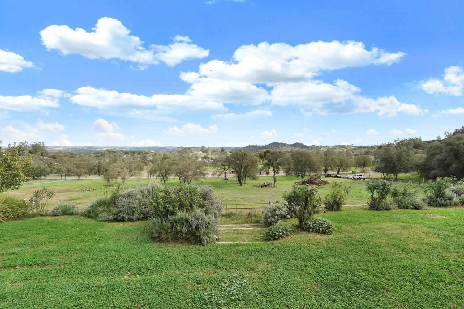 4317 Curran Road Ione, CA 95640 - Photo 6 of 56