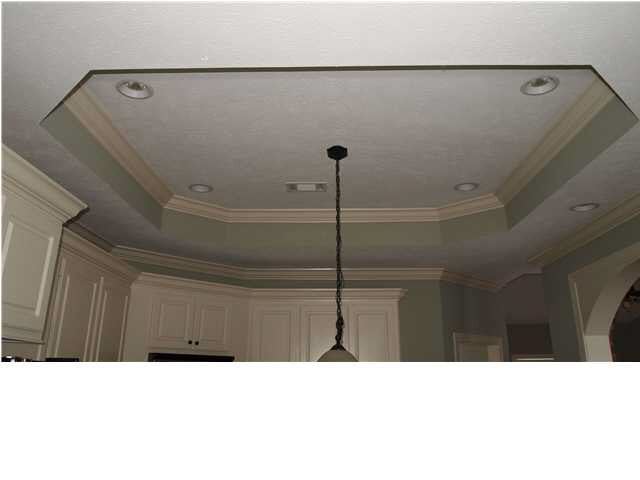 130 Porter Ridge Canton, MS 39046 - Photo 16 of 17 Tray Ceiling in Kitchen