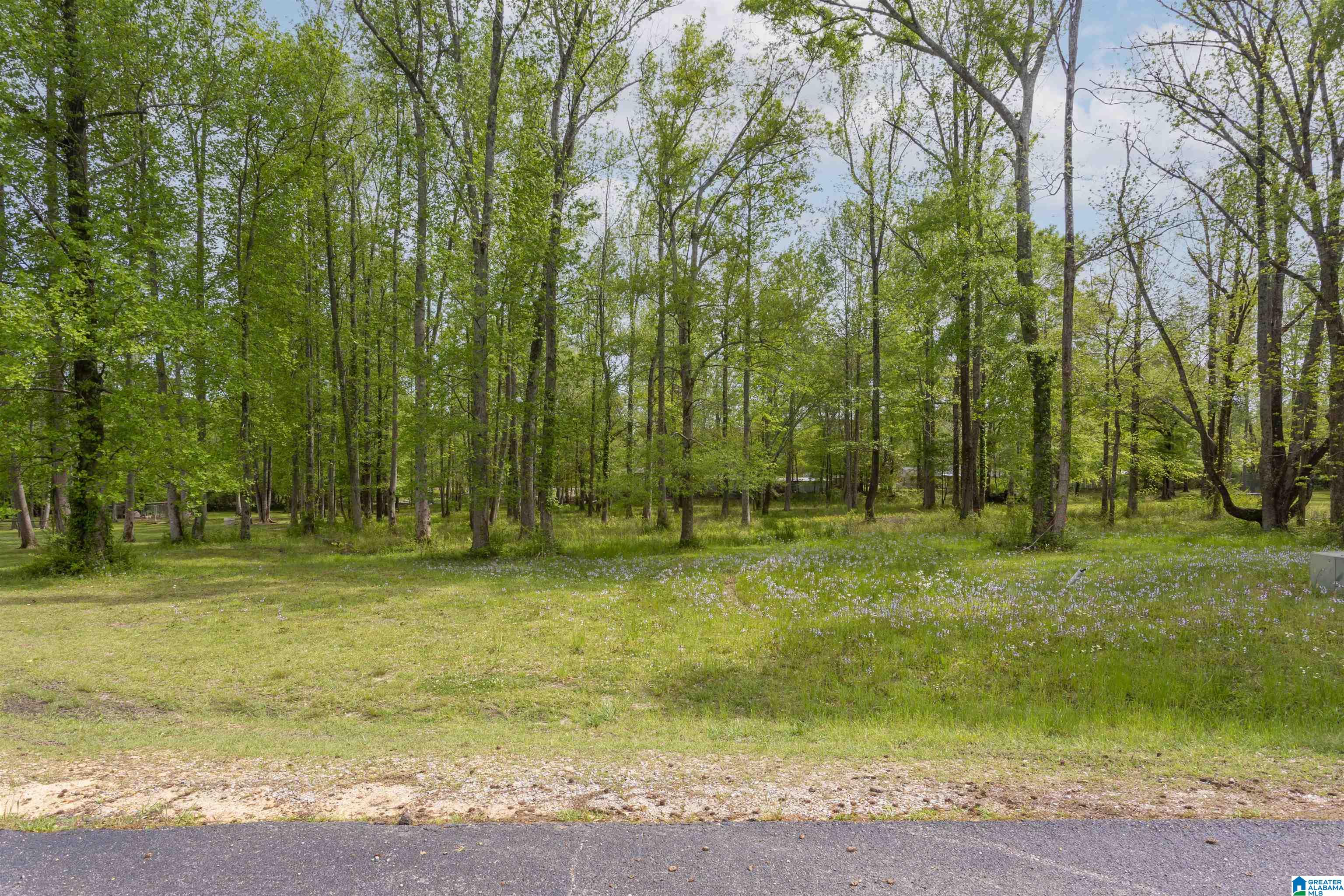 797 County Road Clanton, AL 35045 - Photo 41 of 44