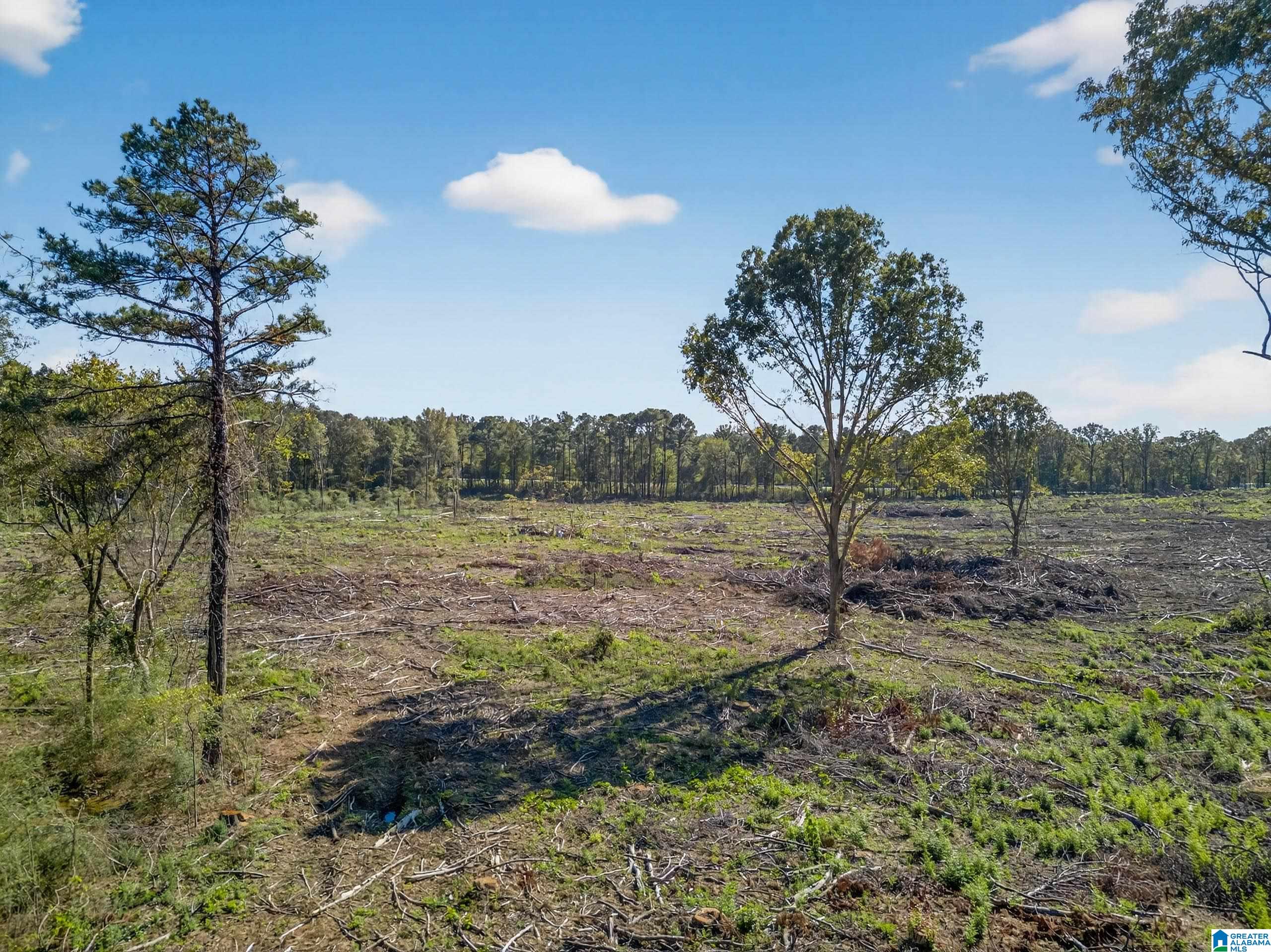 675 County Line Road West Eastaboga, AL 36260 - Photo 6 of 10