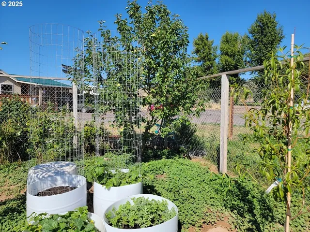 a view of an outdoor space and a yard