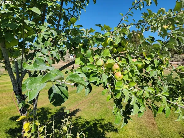 $700,000 | 29388 Wrecking Yard Lane, Hines, OR 97738