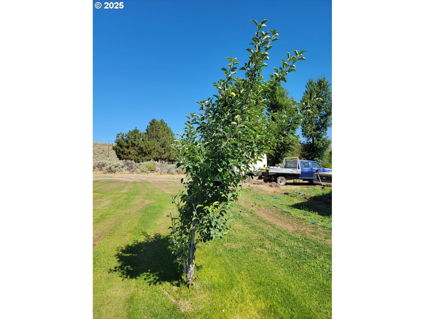 29388 Wrecking Yard Lane Hines, OR 97738 - Photo 22 of 39 a view of a yard