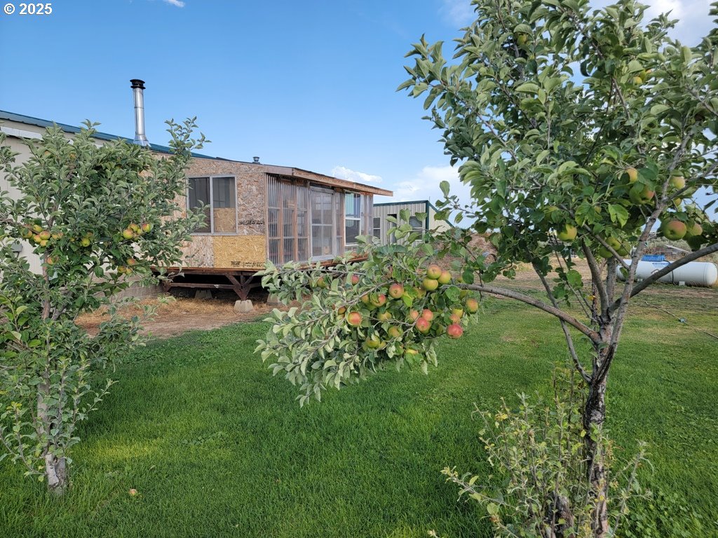 29388 Wrecking Yard Lane Hines, OR 97738 - Photo 28 of 39 a backyard of a house with lots of green space