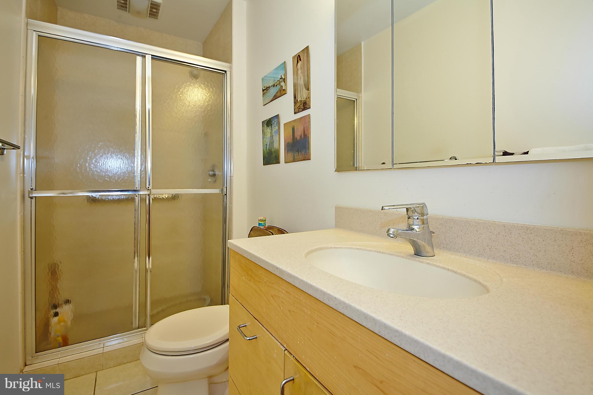 11412 Orchard Lane Reston, VA 20190 - Photo 17 of 30 Bath (Master)