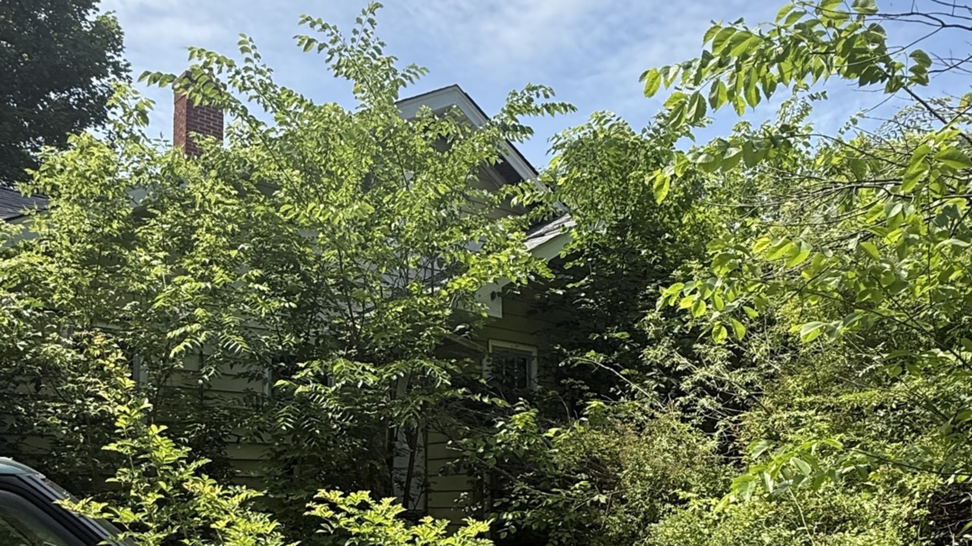 10802 West Yorkhouse Road Beach Park, IL 60087 - Photo 3 of 5