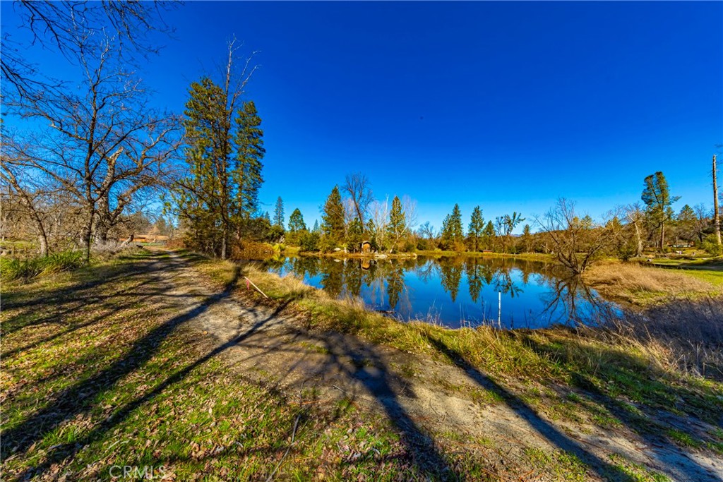 -4.53 Ac Wortham Road Oakhurst, CA 93644 - Photo 6 of 19 a view of a yard with palm tree