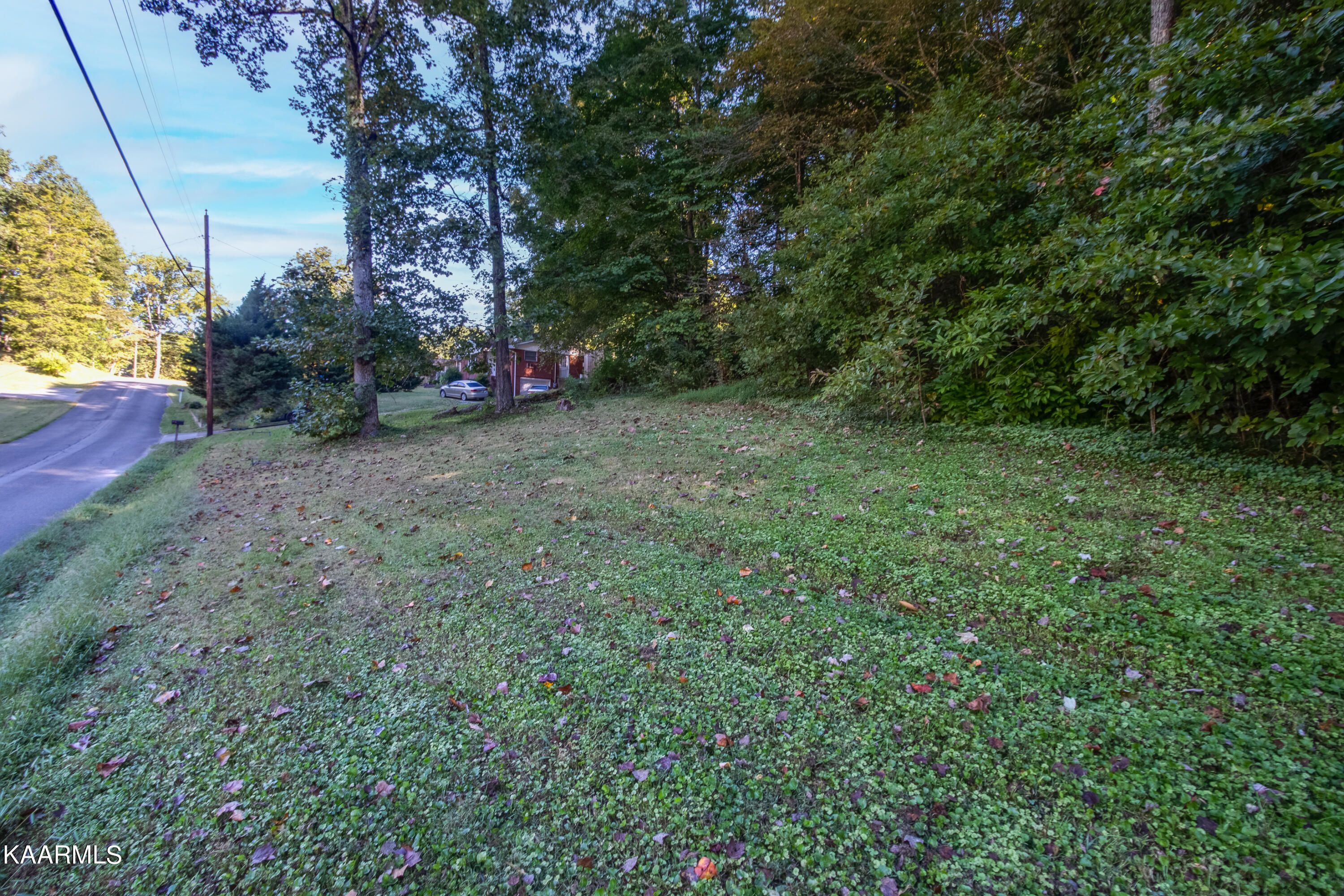 Dogwood North Road Powell, TN 37849 - Photo 1 of 9 jessie land ground-102