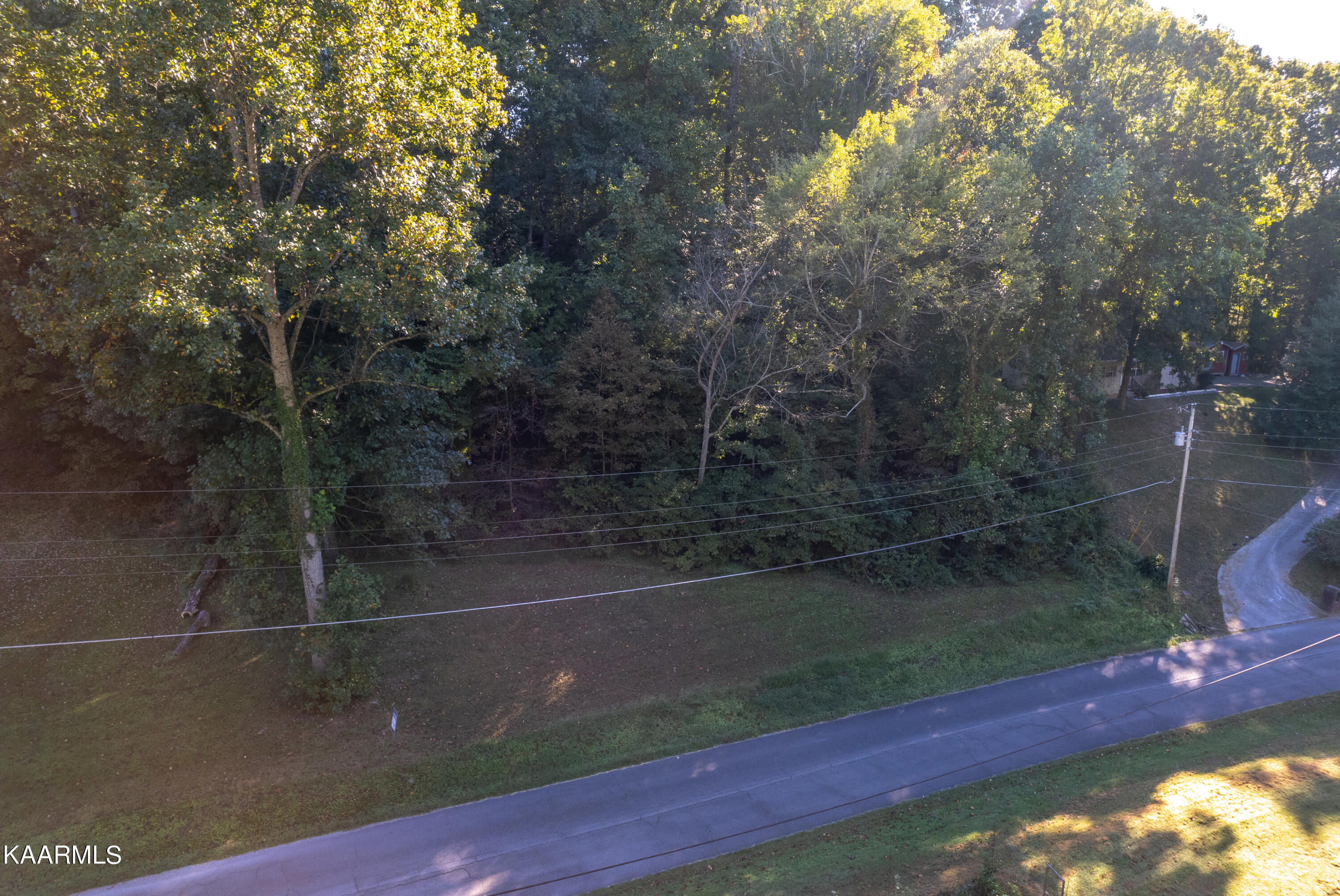Dogwood North Road Powell, TN 37849 - Photo 3 of 9 jessie land aerial-101