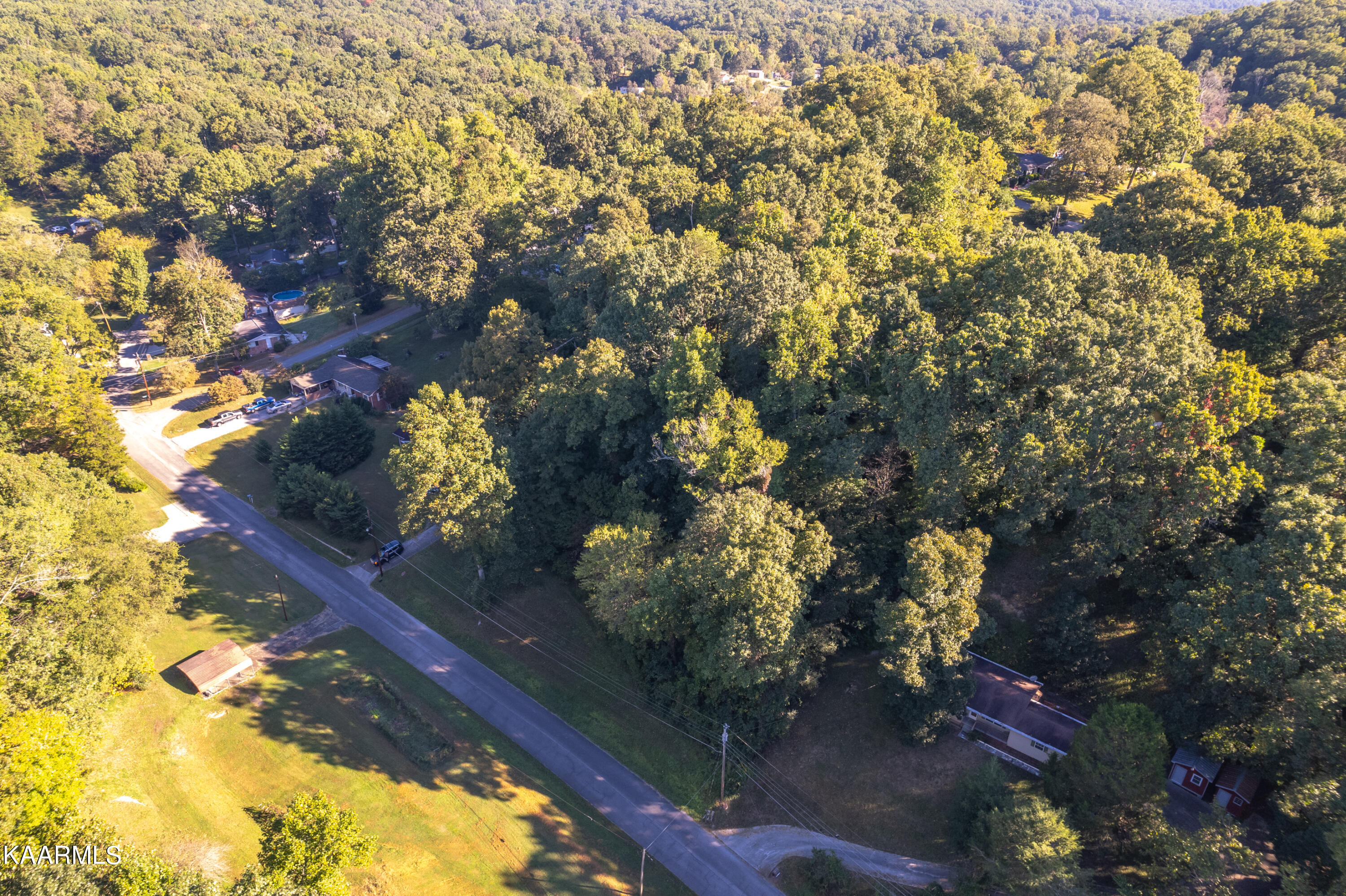 Dogwood North Road Powell, TN 37849 - Photo 5 of 9 jessie land aerial-103