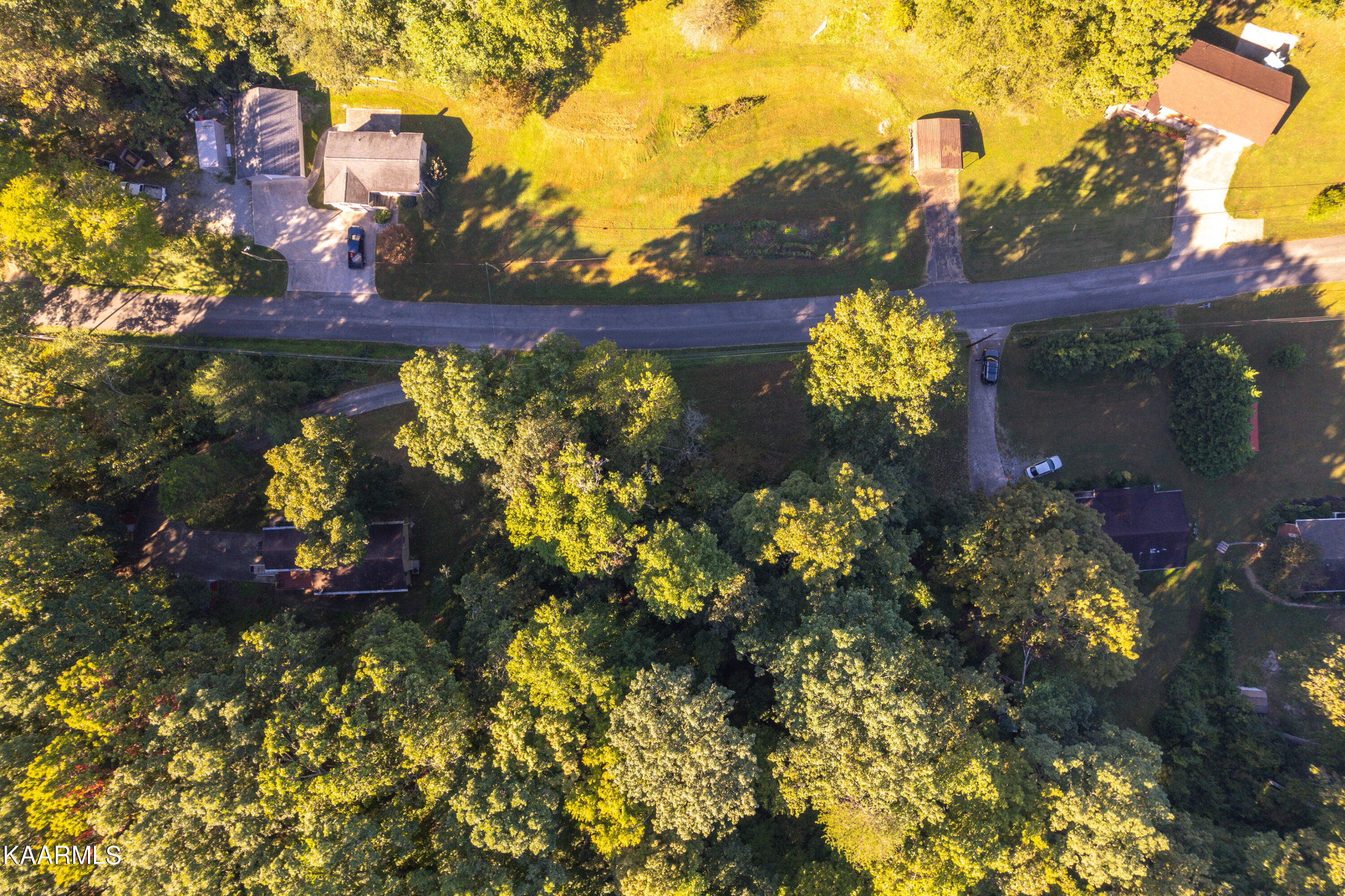 Dogwood North Road Powell, TN 37849 - Photo 6 of 9 jessie land aerial-104