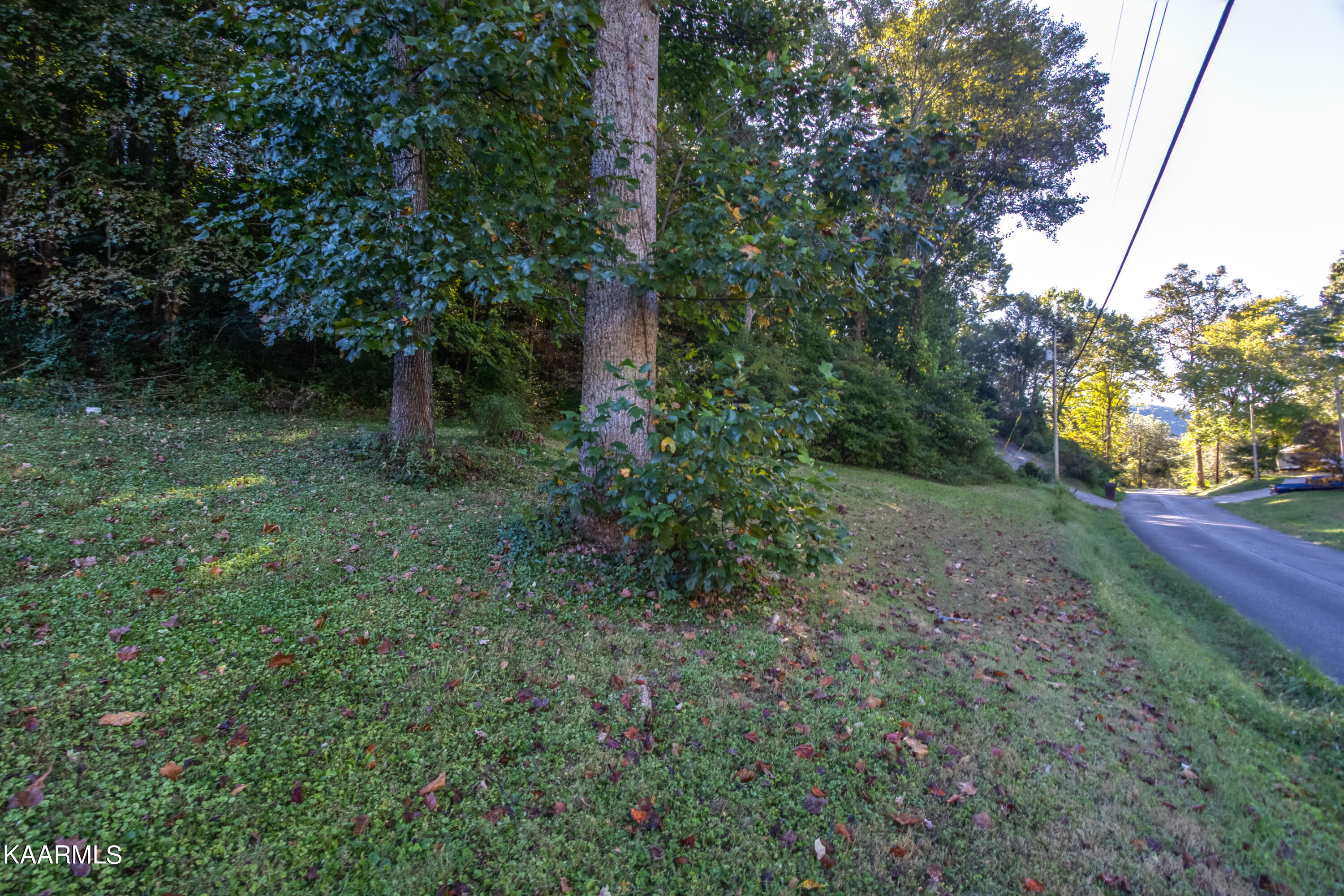 Dogwood North Road Powell, TN 37849 - Photo 9 of 9 jessie land ground-101