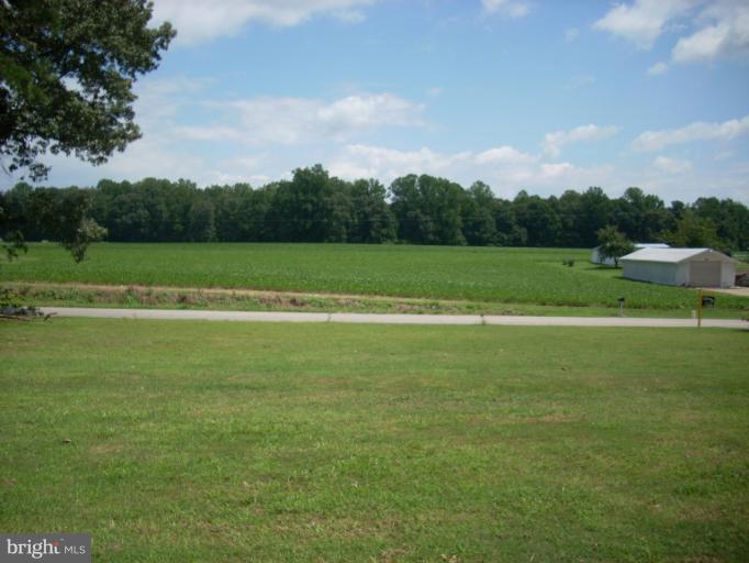 9010 Indiantown Road King George, VA 22485 - Photo 14 of 19 View from Front of House