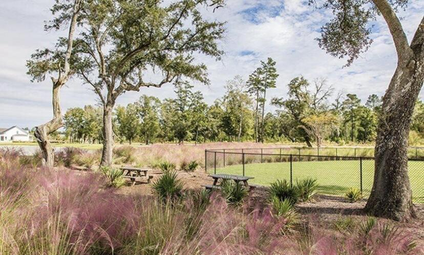 1092 Red Turnstone Run Summerville, SC 29485 - Photo 15 of 17 IMG_1538