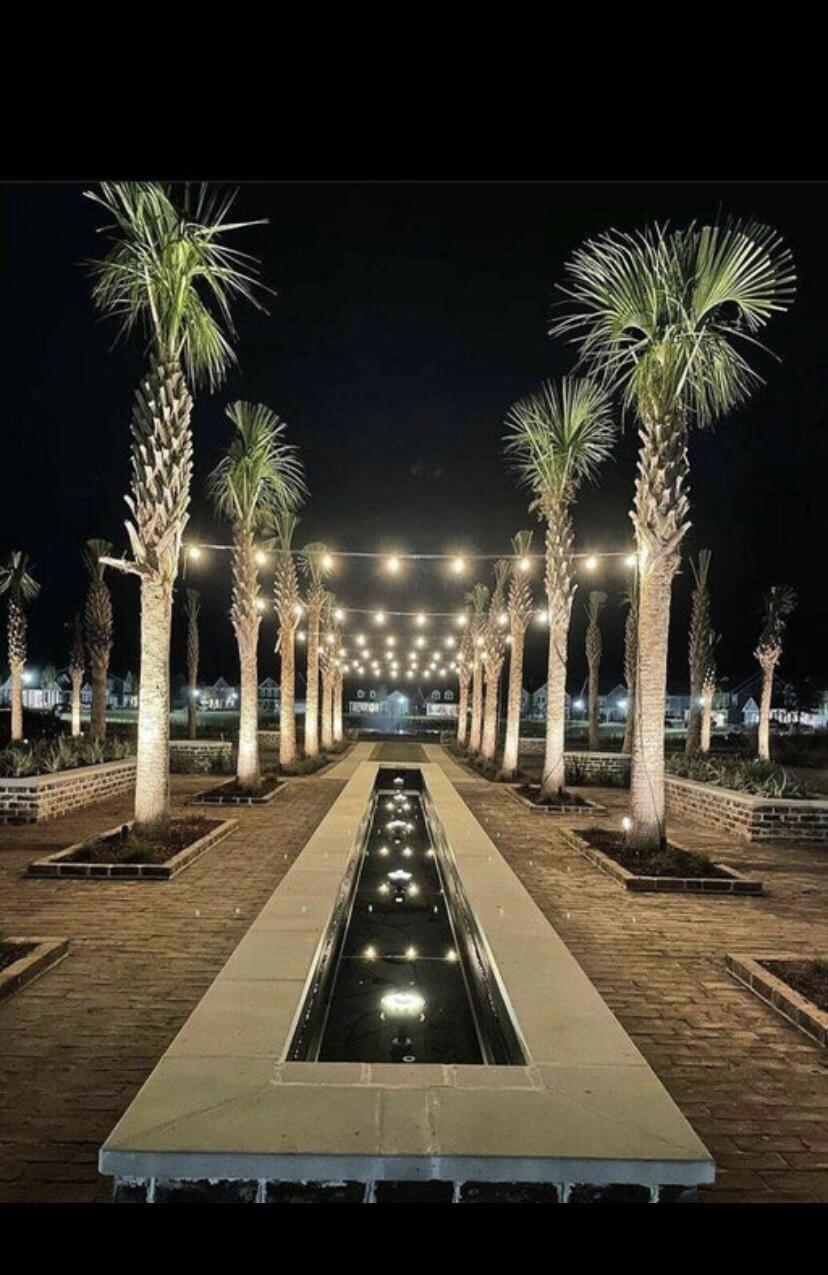 1092 Red Turnstone Run Summerville, SC 29485 - Photo 16 of 17 IMG_1536