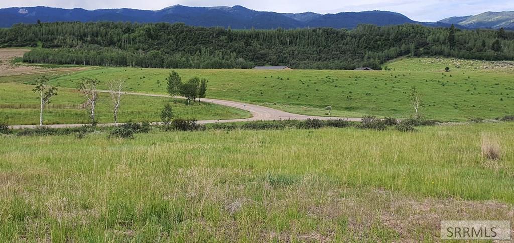 B4-l8 Elk Ridge Drive Swan Valley, ID 83449 - Photo 5 of 8