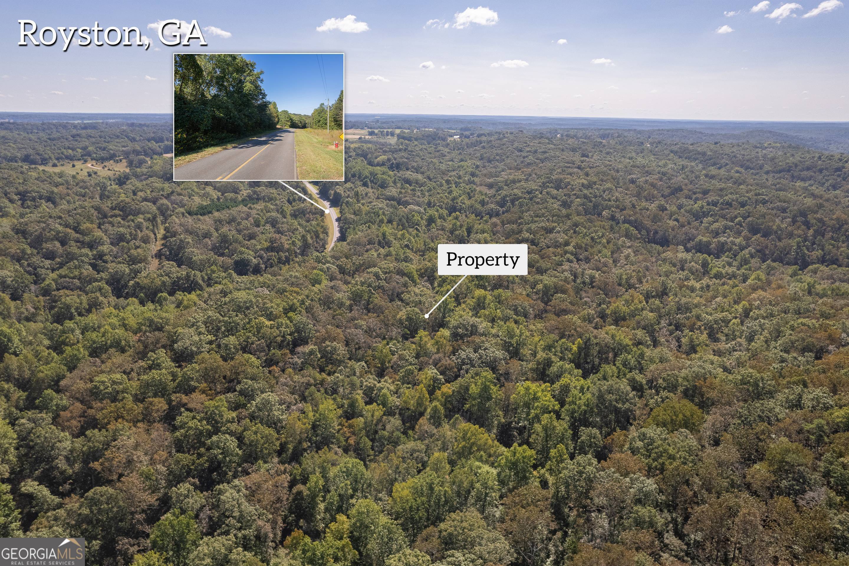 0 Cheek Pulliam Road Royston, GA 30662 - Photo 1 of 1