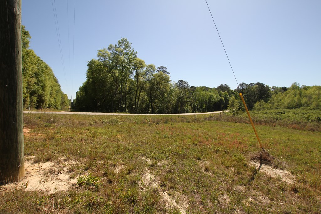 2500 Dean Church Road Ozark, AL 36360 - Photo 2 of 16