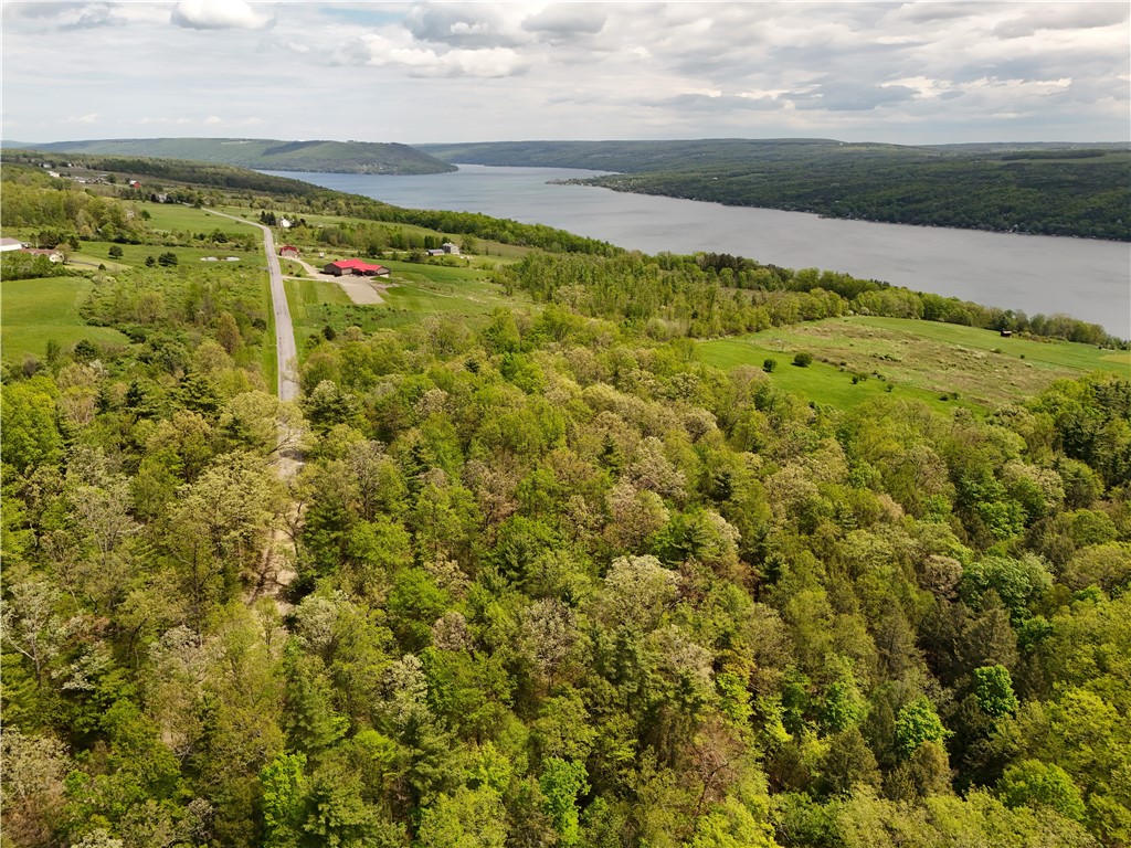 0 Middle Road Hammondsport, NY 14840 - Photo 14 of 20