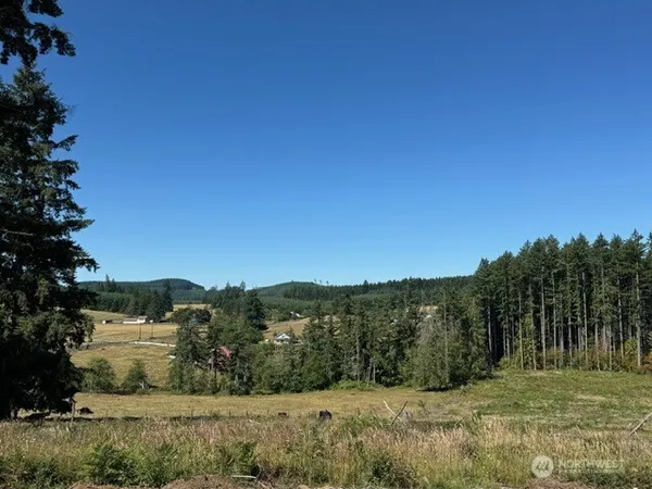 a view of a big yard with large trees
