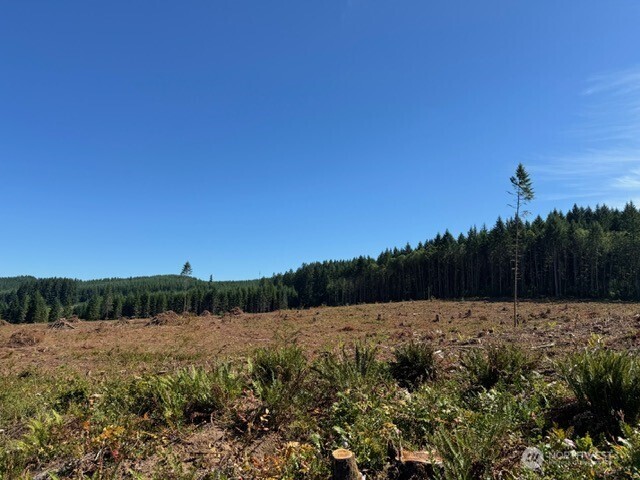 5 Nelson Road Winlock, WA 98596 - Photo 2 of 10 a view of mountain with lake view