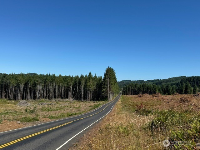 5 Nelson Road Winlock, WA 98596 - Photo 3 of 10 a view of a forest