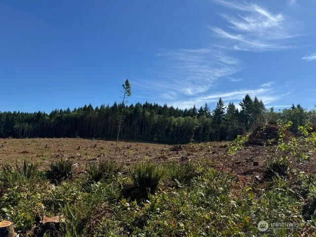 a view of an outdoor space and covered with trees in the background