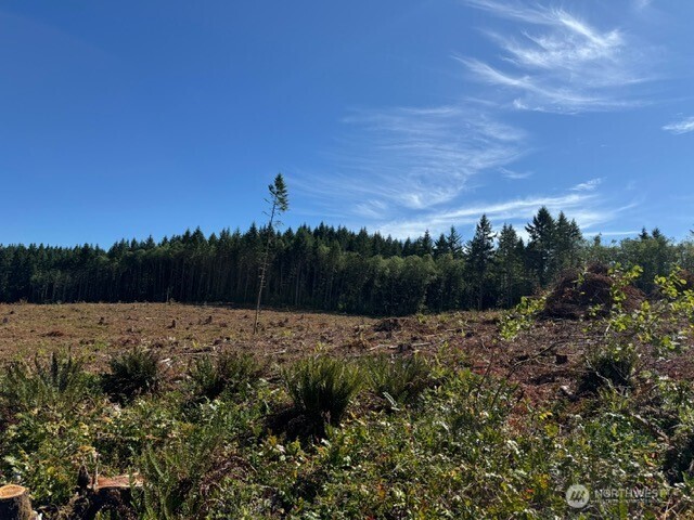 5 Nelson Road Winlock, WA 98596 - Photo 4 of 10 a view of an outdoor space and covered with trees in the background