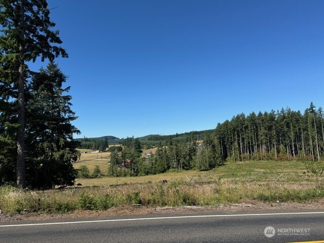 5 Nelson Road Winlock, WA 98596 - Photo 5 of 10 a view of a grassy field with trees