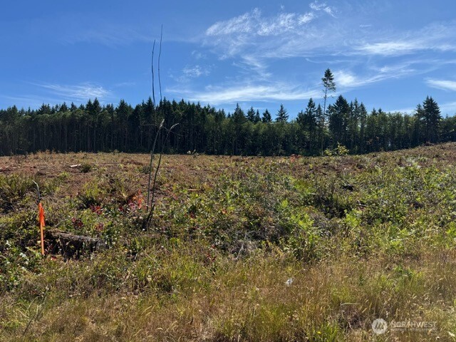 5 Nelson Road Winlock, WA 98596 - Photo 6 of 10 a view of a yard