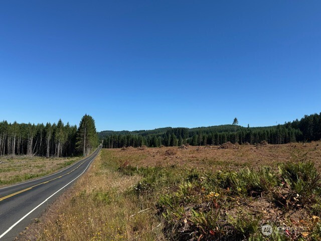 5 Nelson Road Winlock, WA 98596 - Photo 7 of 10 a view of mountain with lake view