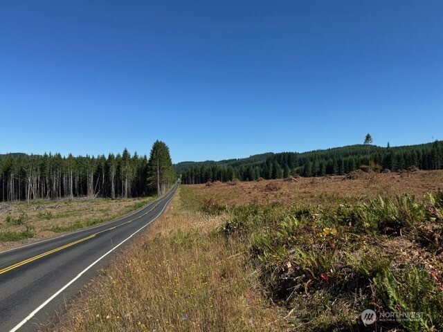 5 Nelson Road Winlock, WA 98596 - Photo 8 of 10 a view of a yard with a tree