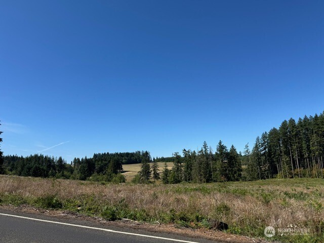 5 Nelson Road Winlock, WA 98596 - Photo 9 of 10 a view of a field with trees in background