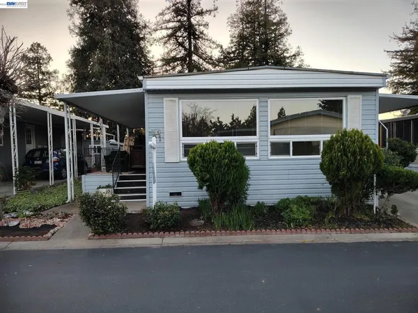 a view of a house with a small yard plants and a large tree