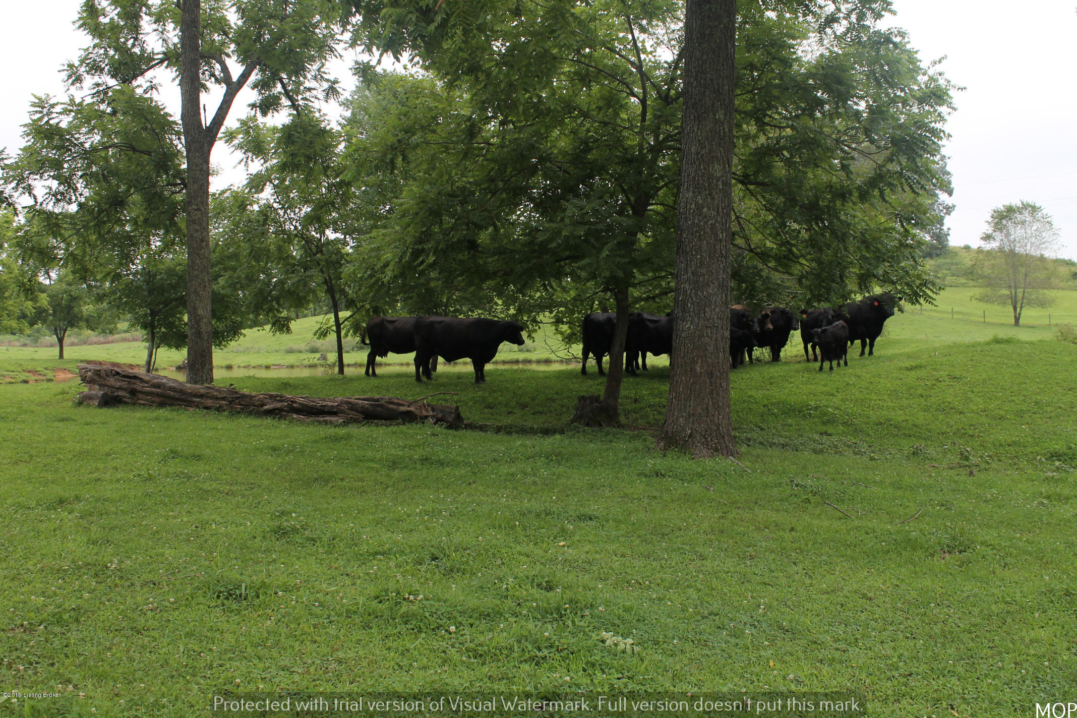 1503 Pikeview Road Magnolia, KY 42757 - Photo 16 of 28 IMG_2235
