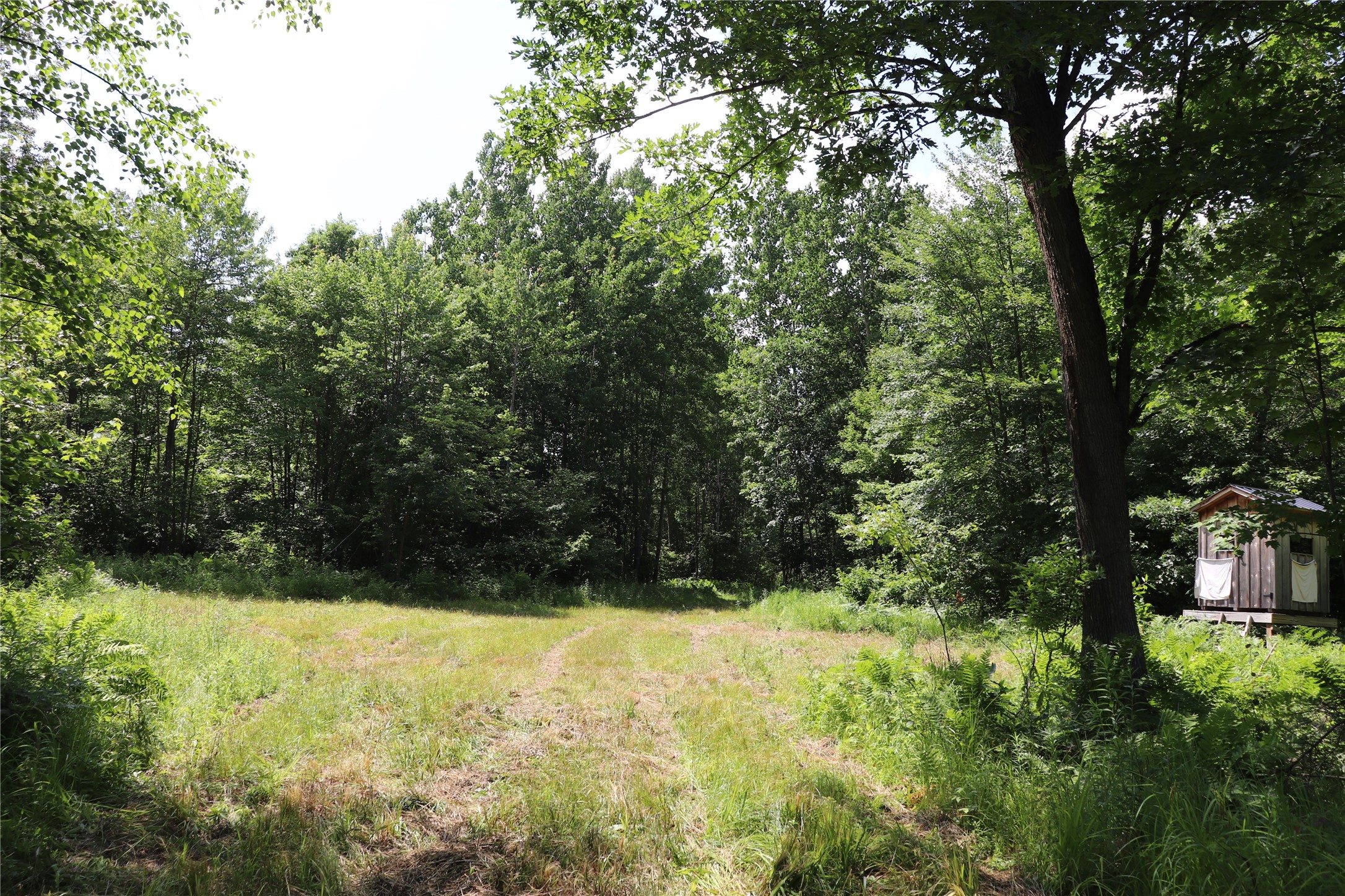 S11305 Kempton Road Augusta, WI 54722 - Photo 8 of 57