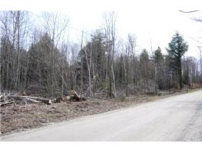1 Oneida Road Danville, VT 05828 - Photo 3 of 3