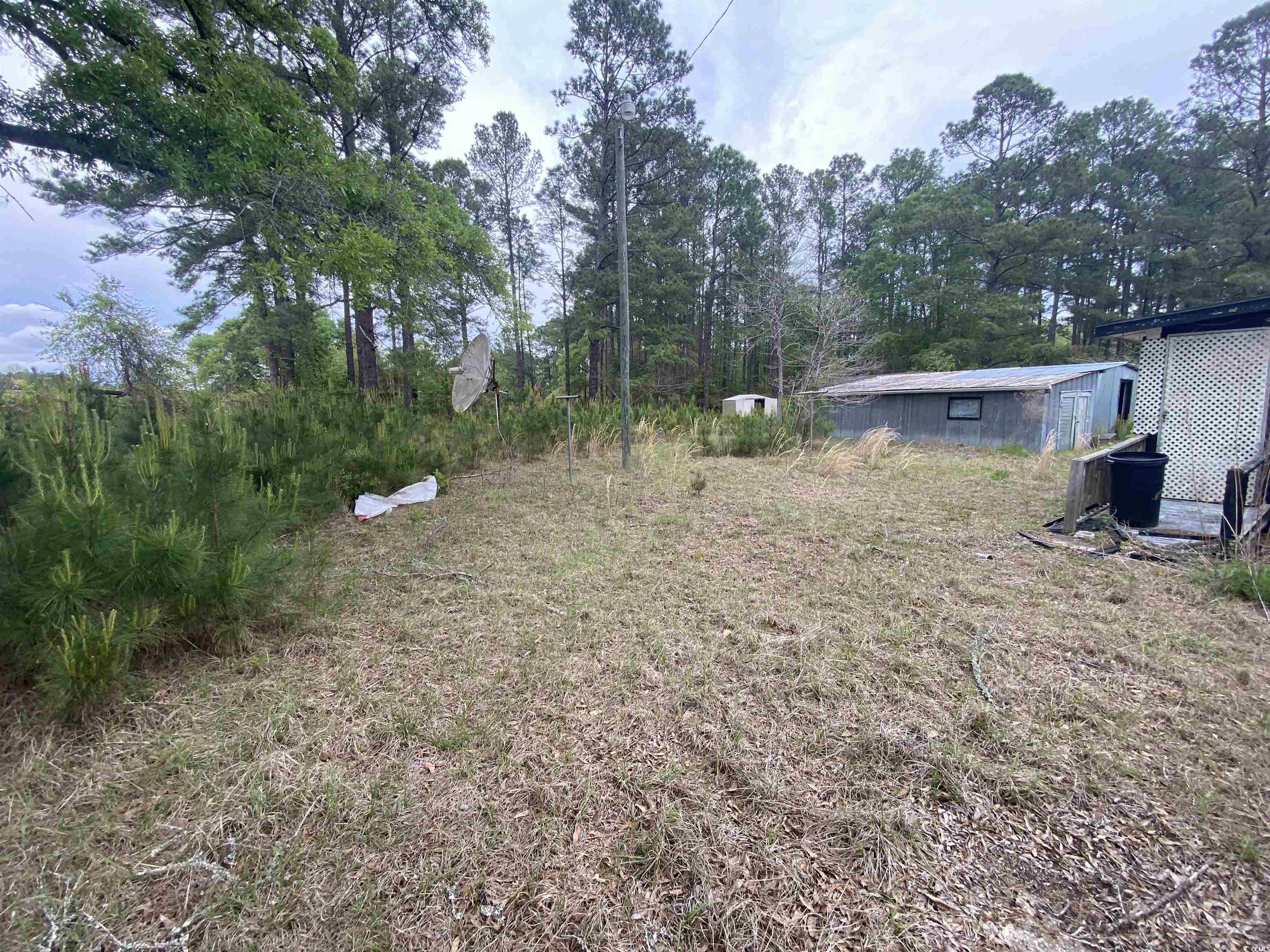 1368 Blue Bird Road Loris, SC 29569 - Photo 4 of 26 Gallery Image 4