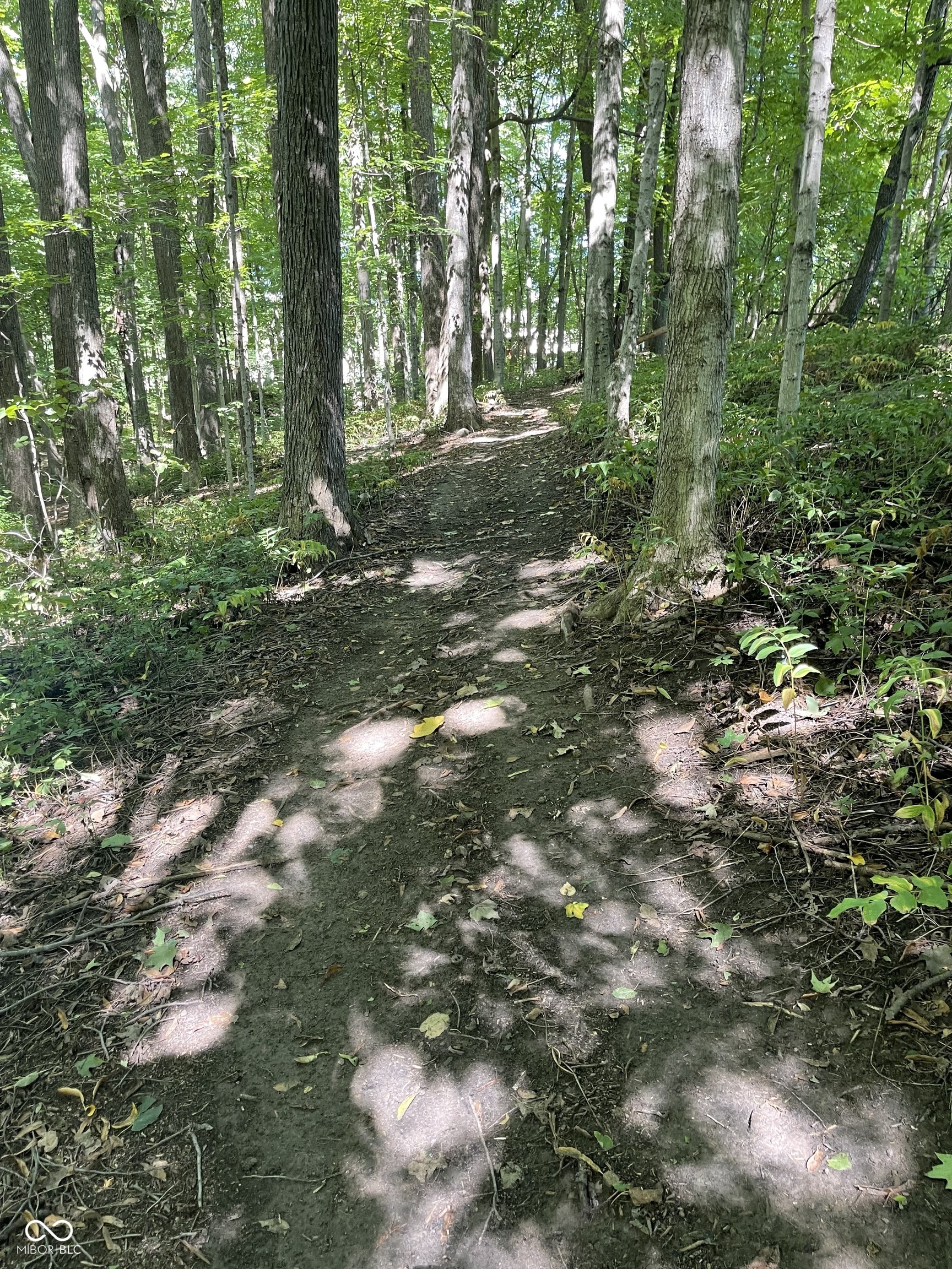 29 Point Lane Arcadia, IN 46030 - Photo 6 of 45