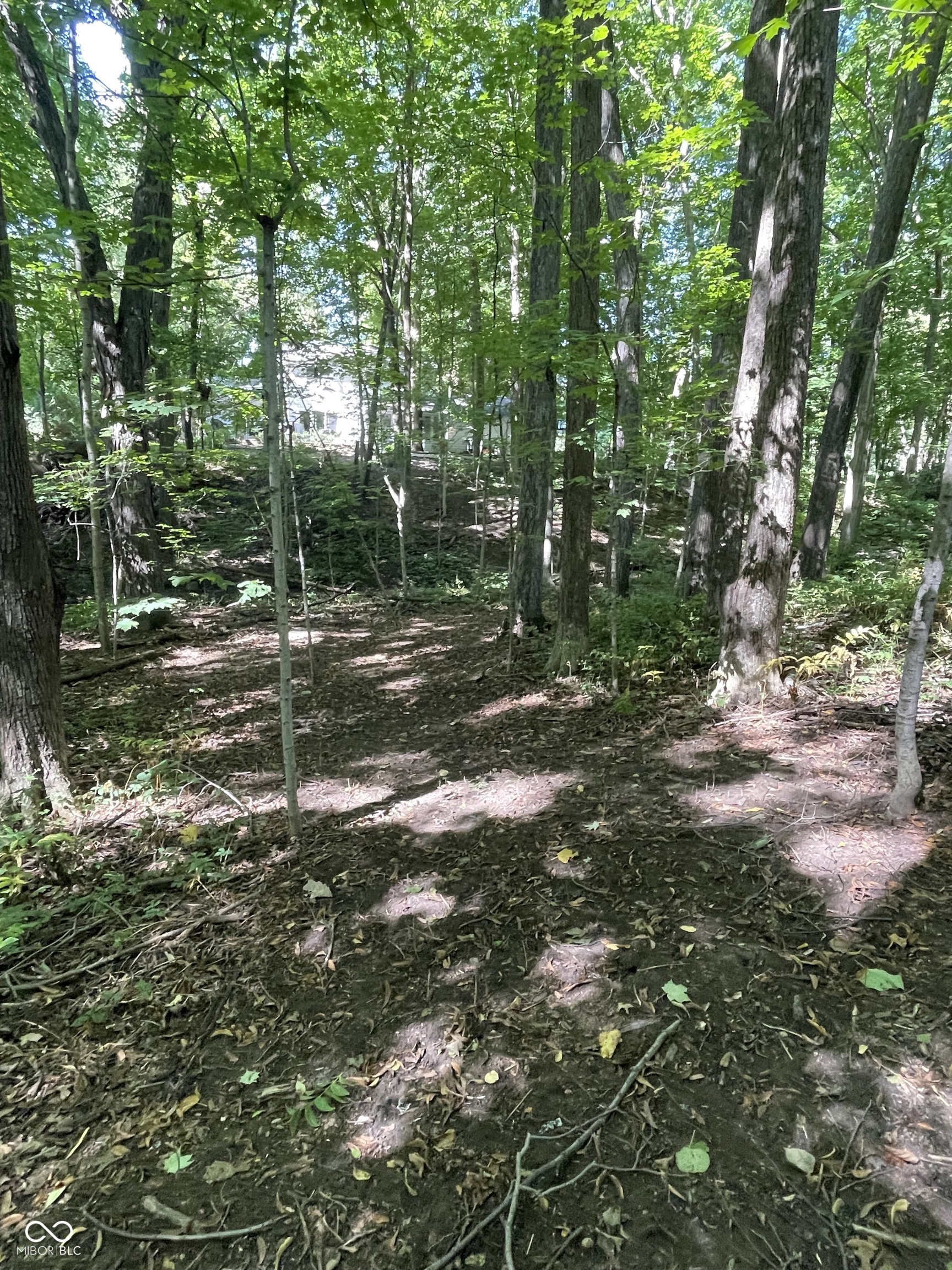 29 Point Lane Arcadia, IN 46030 - Photo 8 of 45