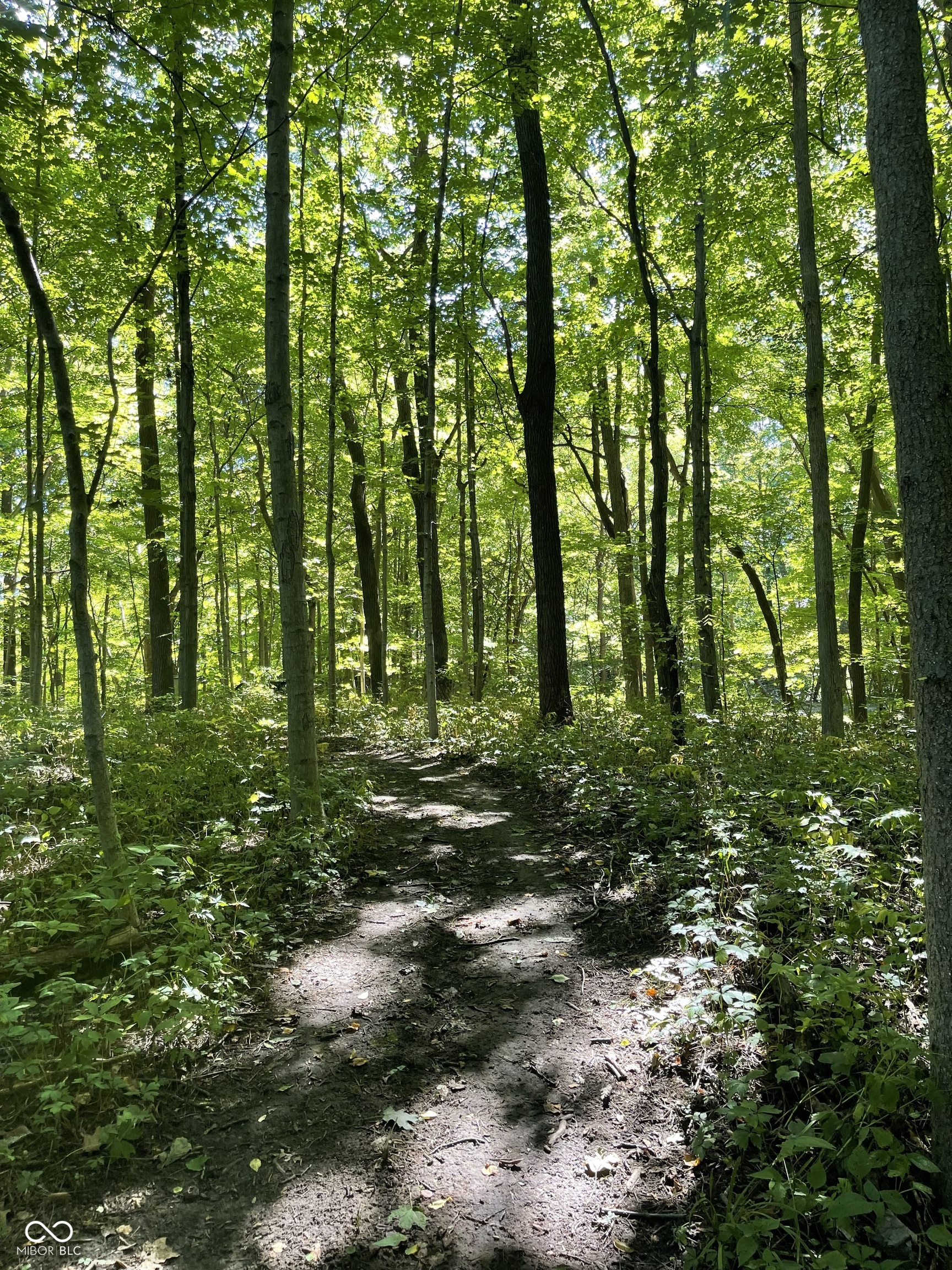 29 Point Lane Arcadia, IN 46030 - Photo 10 of 45