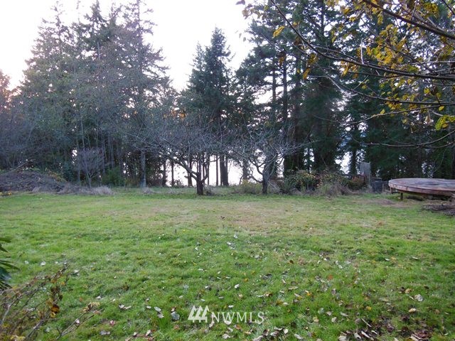 14212 Southwest Lisabuela Road Vashon, WA 98070 - Photo 2 of 15