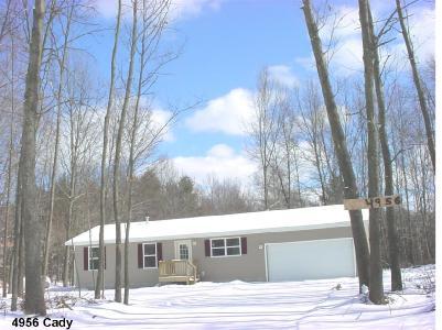 4956 Cady Road Twin Lake, MI 49457 - Photo 1 of 1 Primary Photo